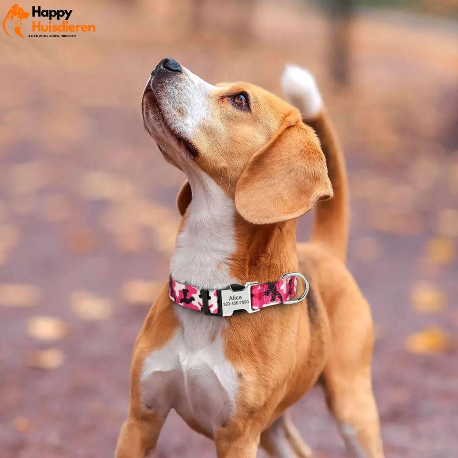 Gepersonaliseerde nylon halsband met snelsluiting. Duurzaam verstelbaar ontwerp voor veiligheid en comfort