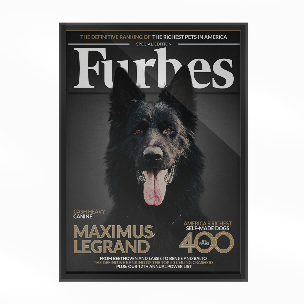 PetMuse | Gepersonaliseerd dierenportret met liefde