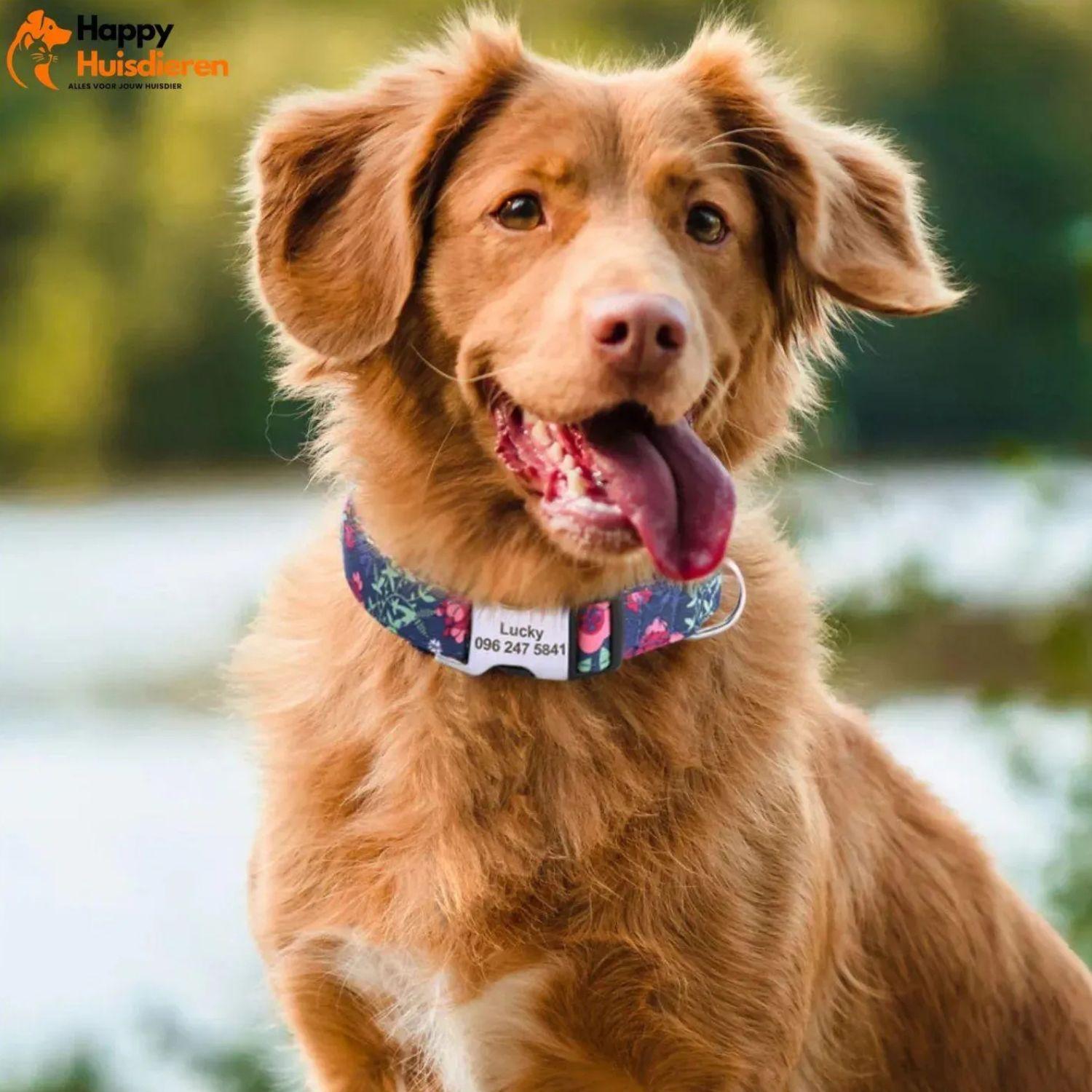 Gepersonaliseerde nylon halsband met snelsluiting. Duurzaam verstelbaar ontwerp voor veiligheid en comfort