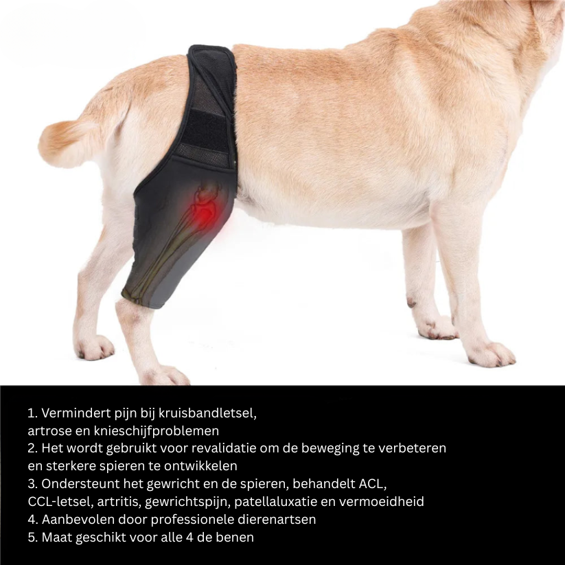 CanisCare Kniebrace | Ondersteunende Pootbandage voor Herstel bij Honden Revalidatie