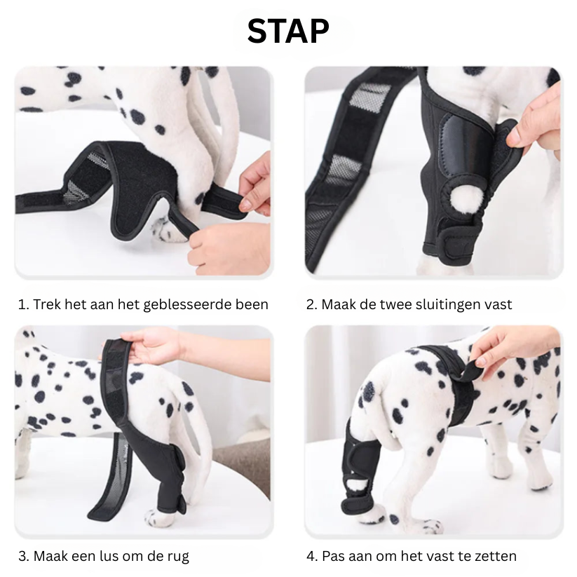 CanisCare Kniebrace | Ondersteunende Pootbandage voor Herstel bij Honden Revalidatie