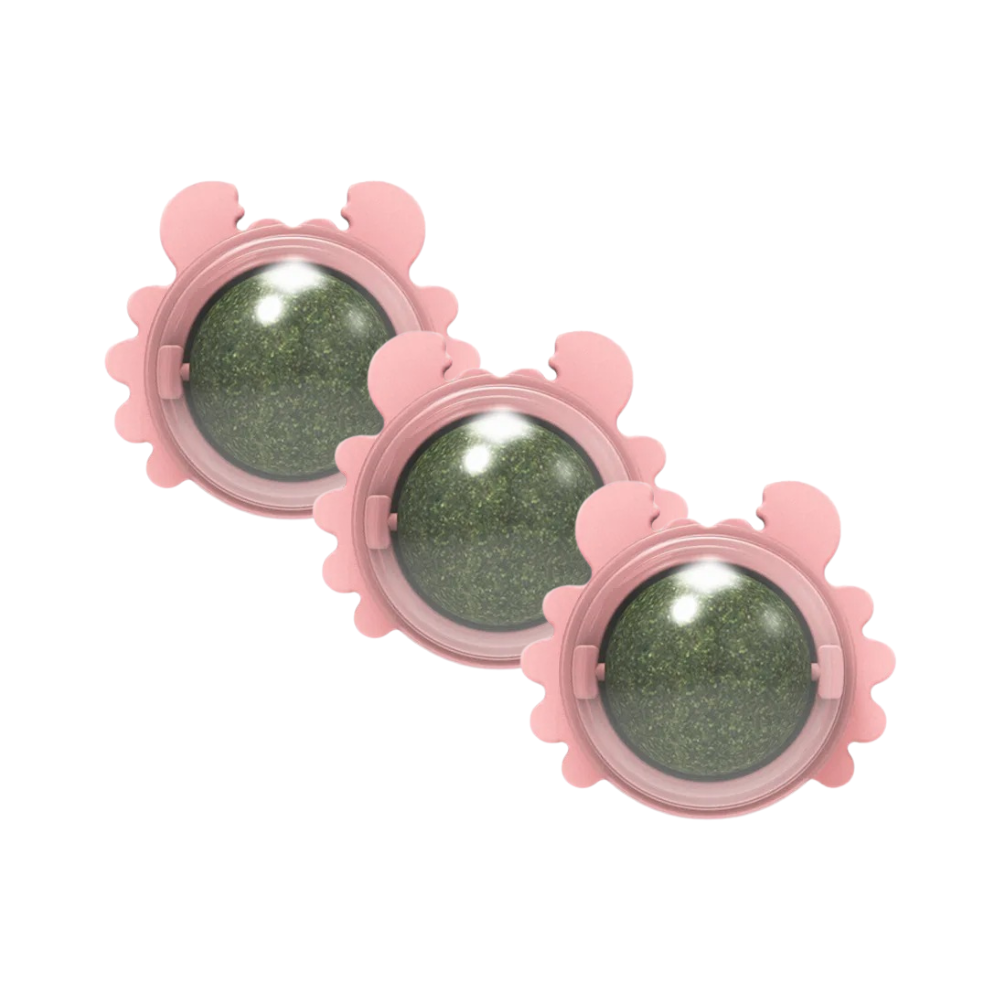 LickJoy | Kattenliksnack met munt voor frisse adem en meer energie