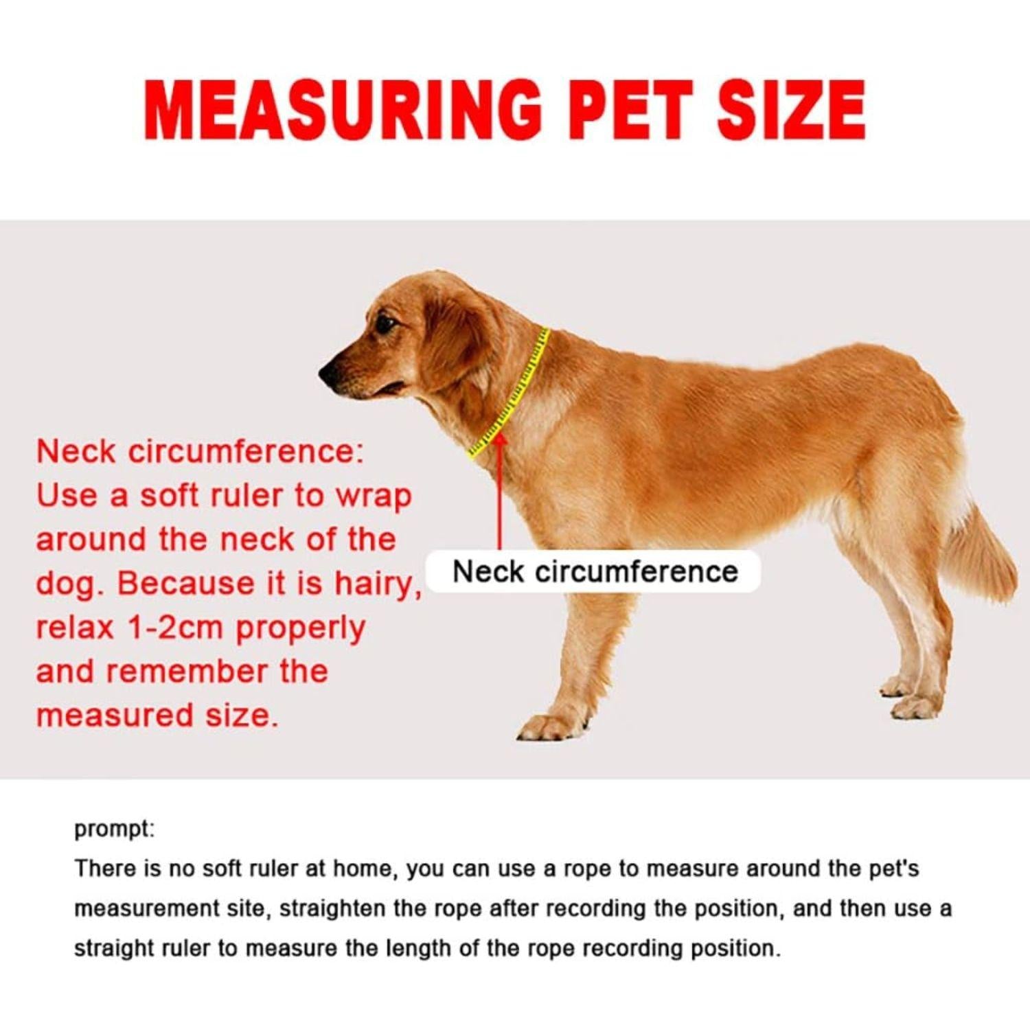 LeadEase Anti Trek Halsband | No-pull trainingshalsband voor gecontroleerde en ontspannen wandelingen