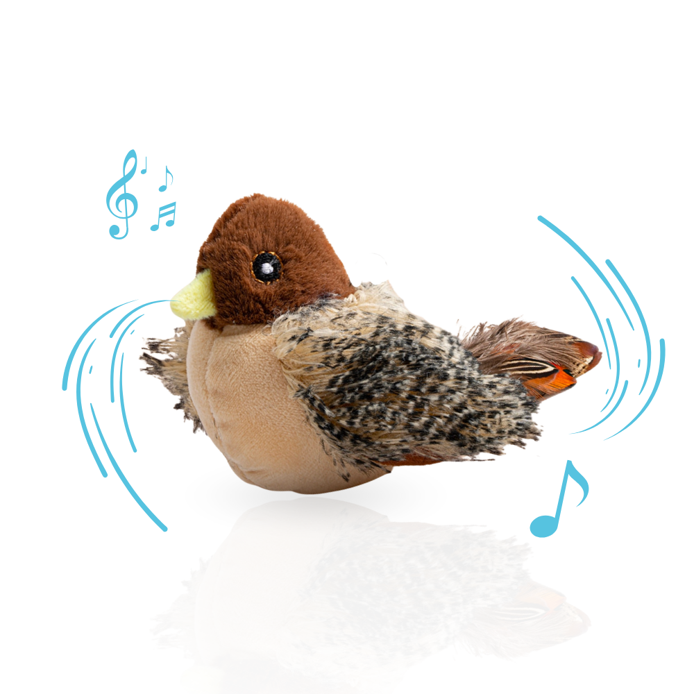 ChaseWhirl | De interactieve jacht spel voor actieve katten