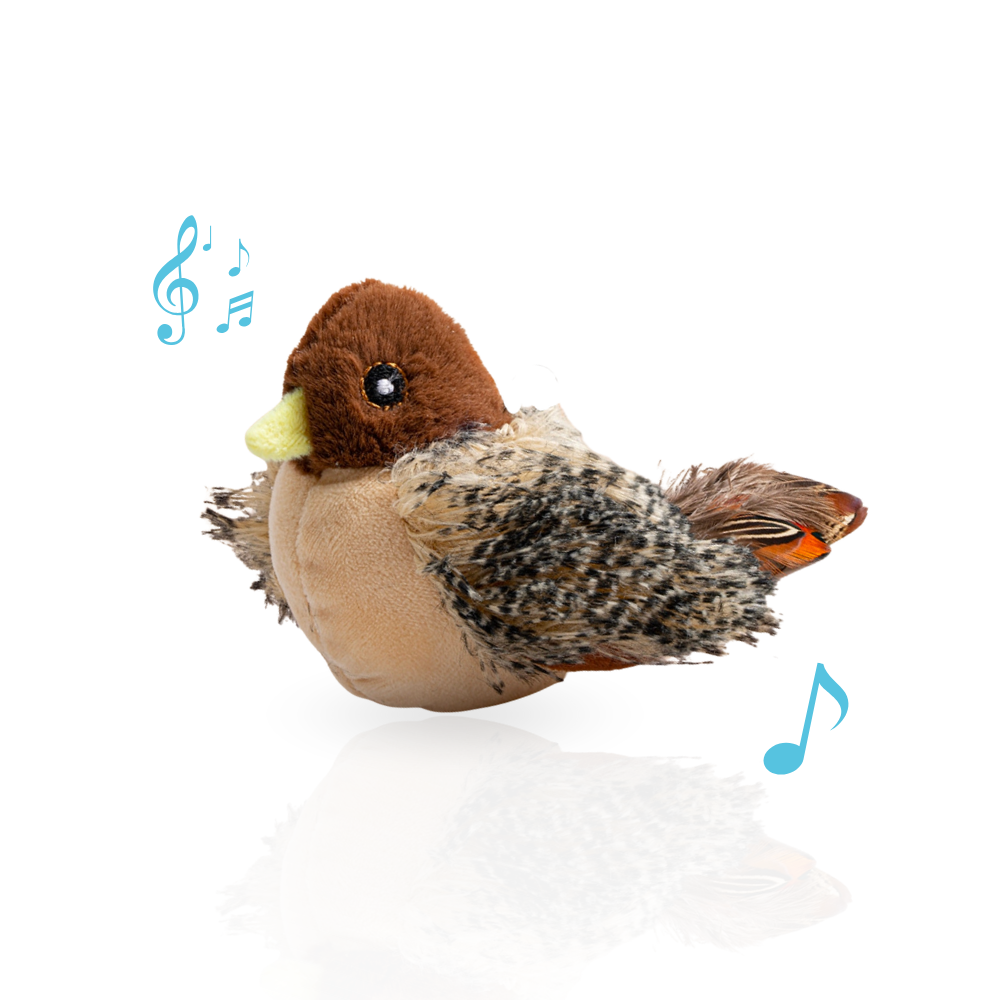 ChaseWhirl | De interactieve jacht spel voor actieve katten