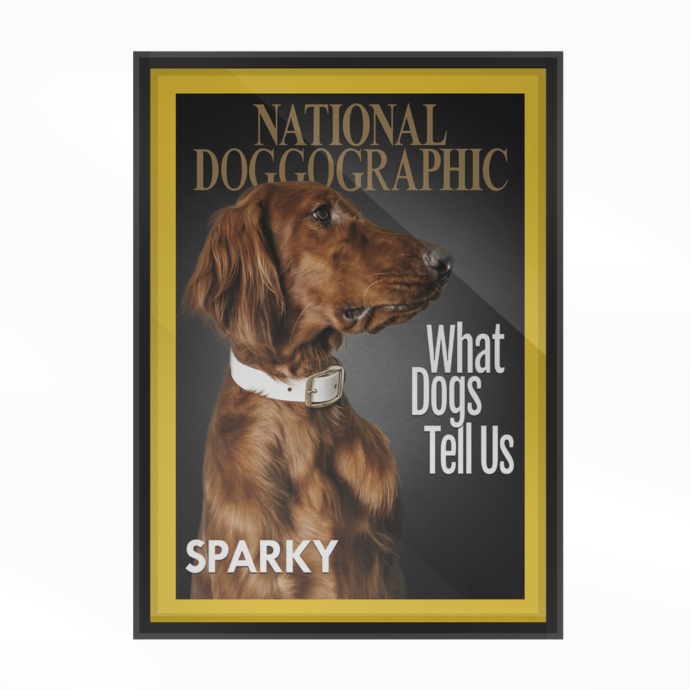 PetMuse | Gepersonaliseerd dierenportret met liefde