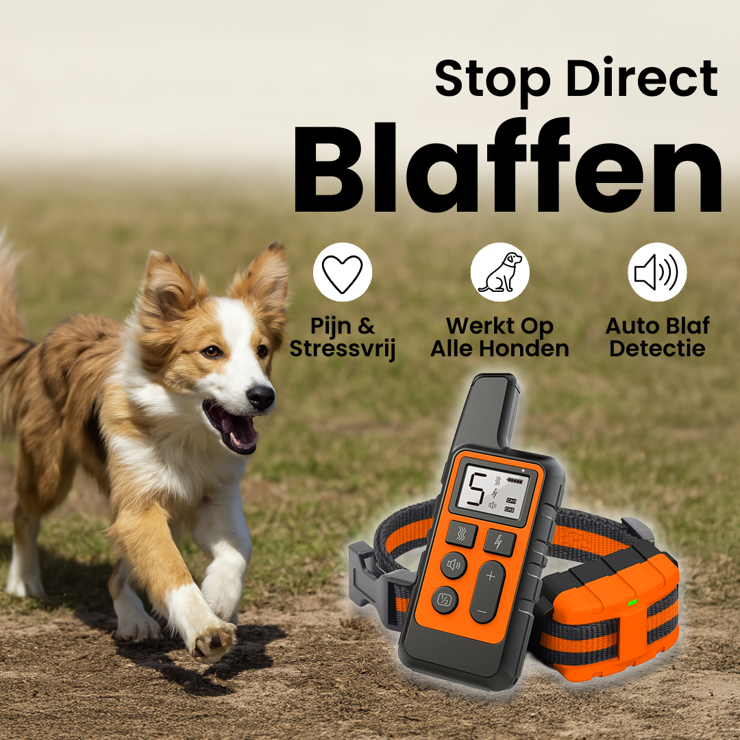 Hondengehoorzaamheid Trainer | Oplaadbare Antiblaf Halsband met Afstandsbediening