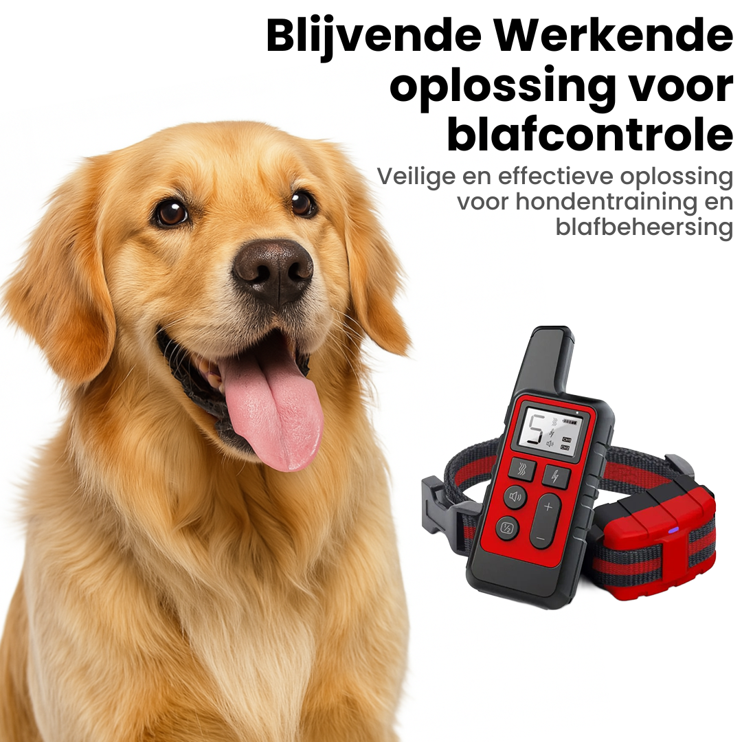 Hondengehoorzaamheid Trainer | Oplaadbare Antiblaf Halsband met Afstandsbediening