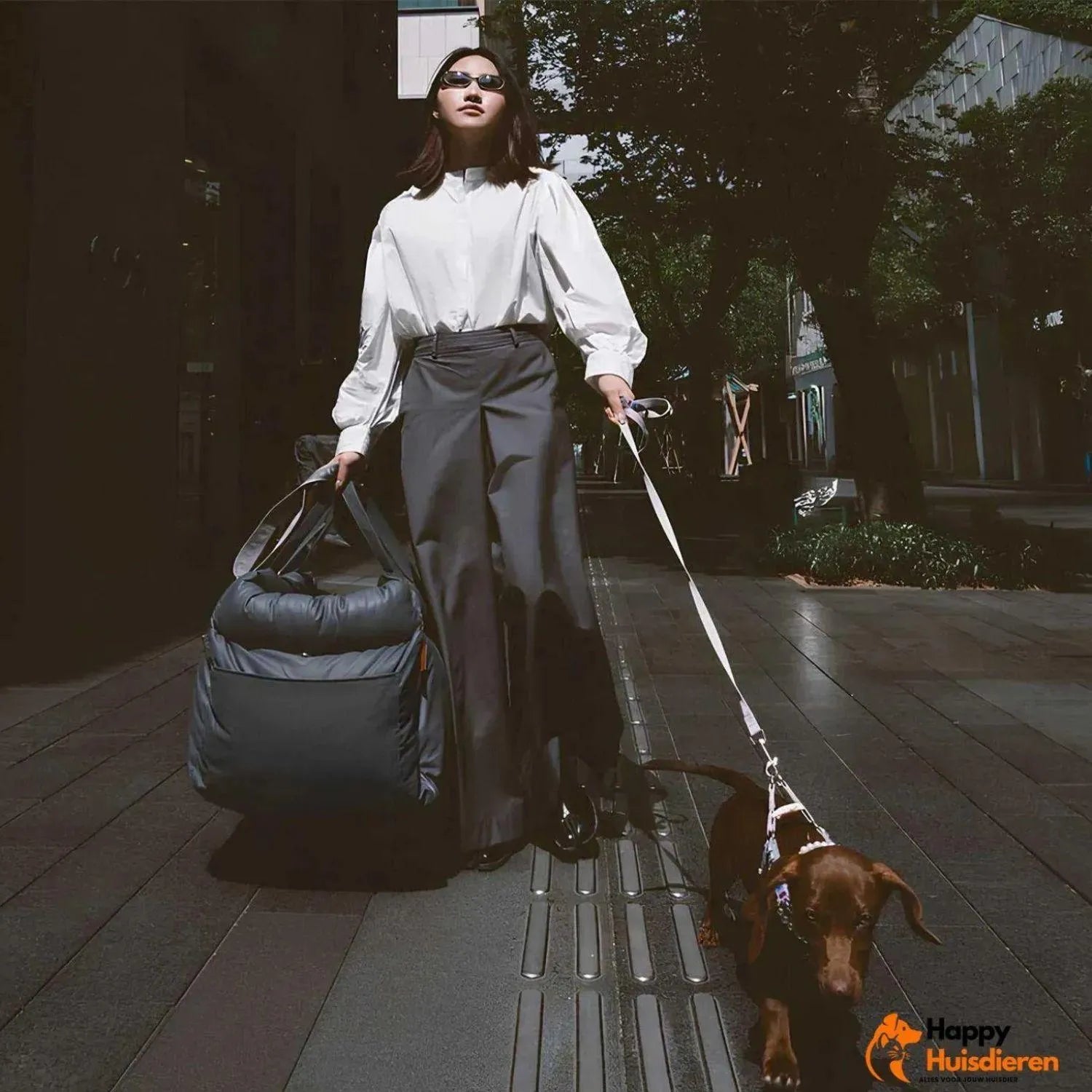 Autobed voor huisdieren | Luxe autostoelverhoger voor honden voor veilig reizen