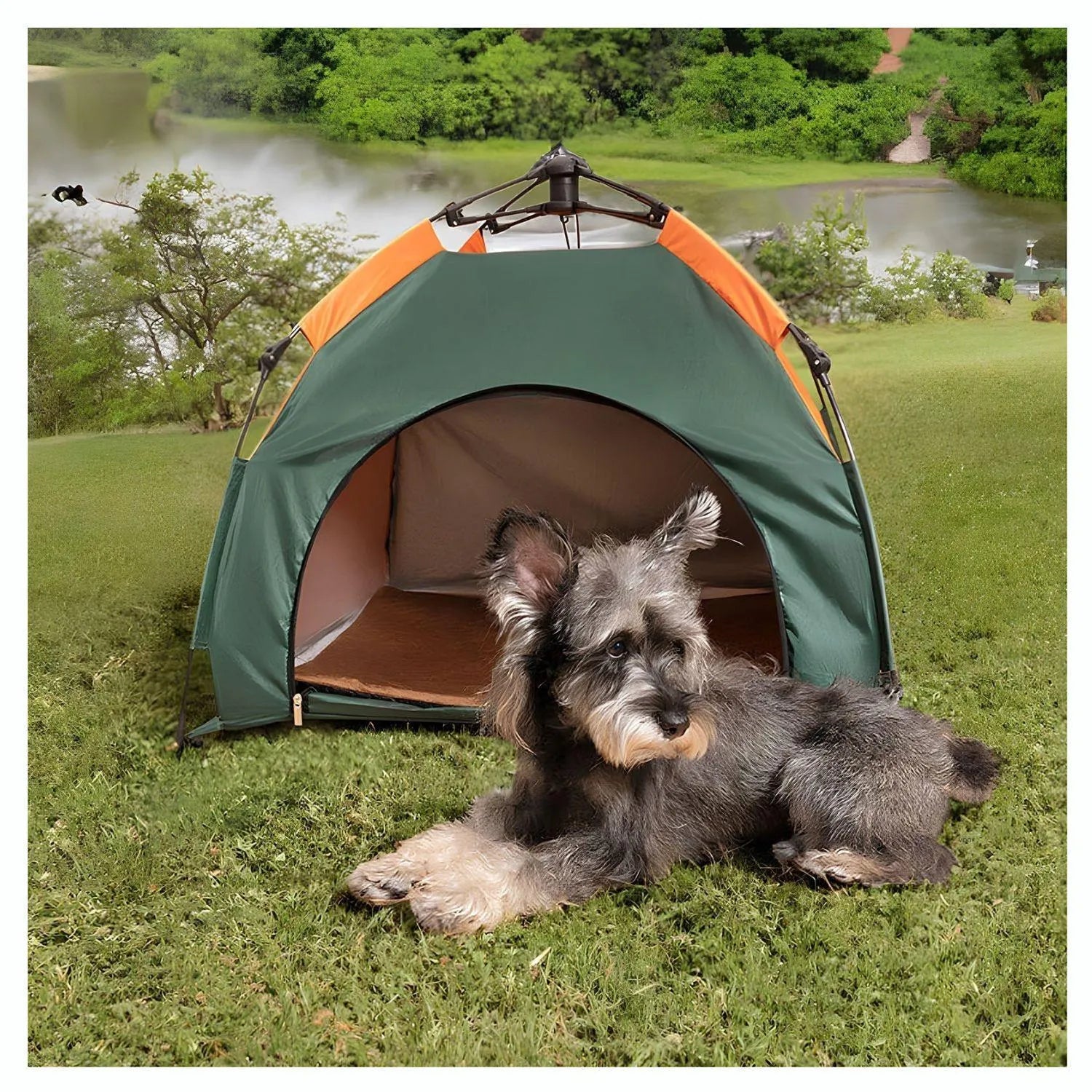 AvontuurKamp | Draagbaar Klapbare Tent voor Honden en Katten