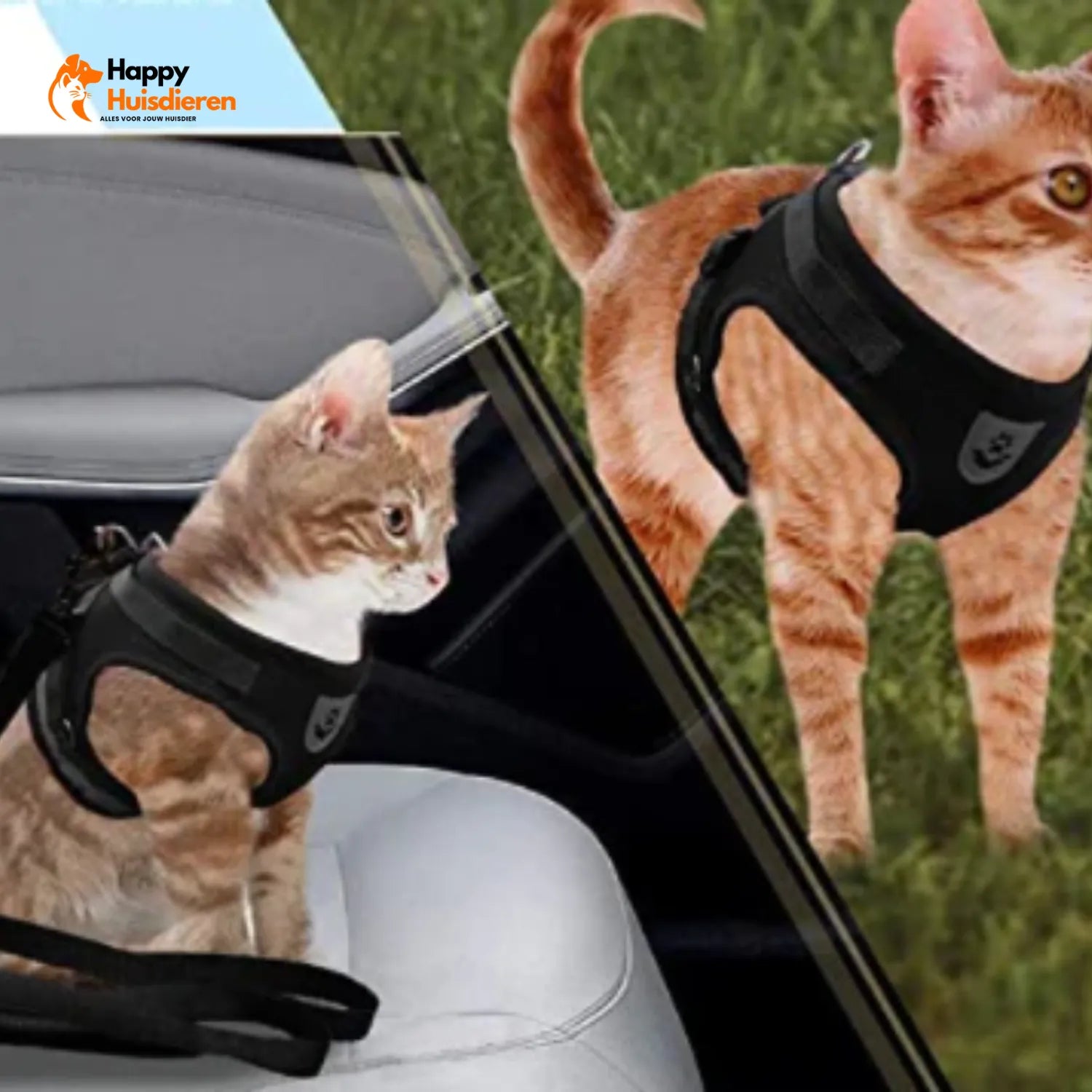 AvontuurKit Kattentuig | Verstelbaar Tuigje met Lijn voor Avonturen