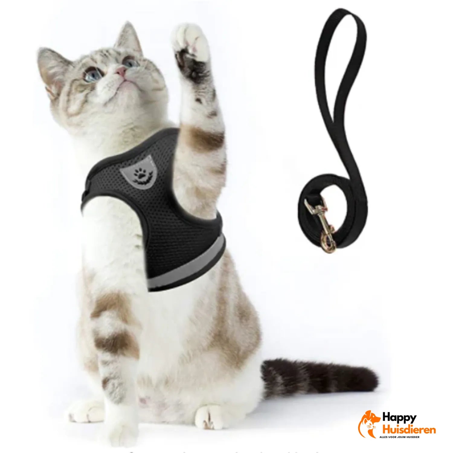 AvontuurKit Kattentuig | Verstelbaar Tuigje met Lijn voor Avonturen