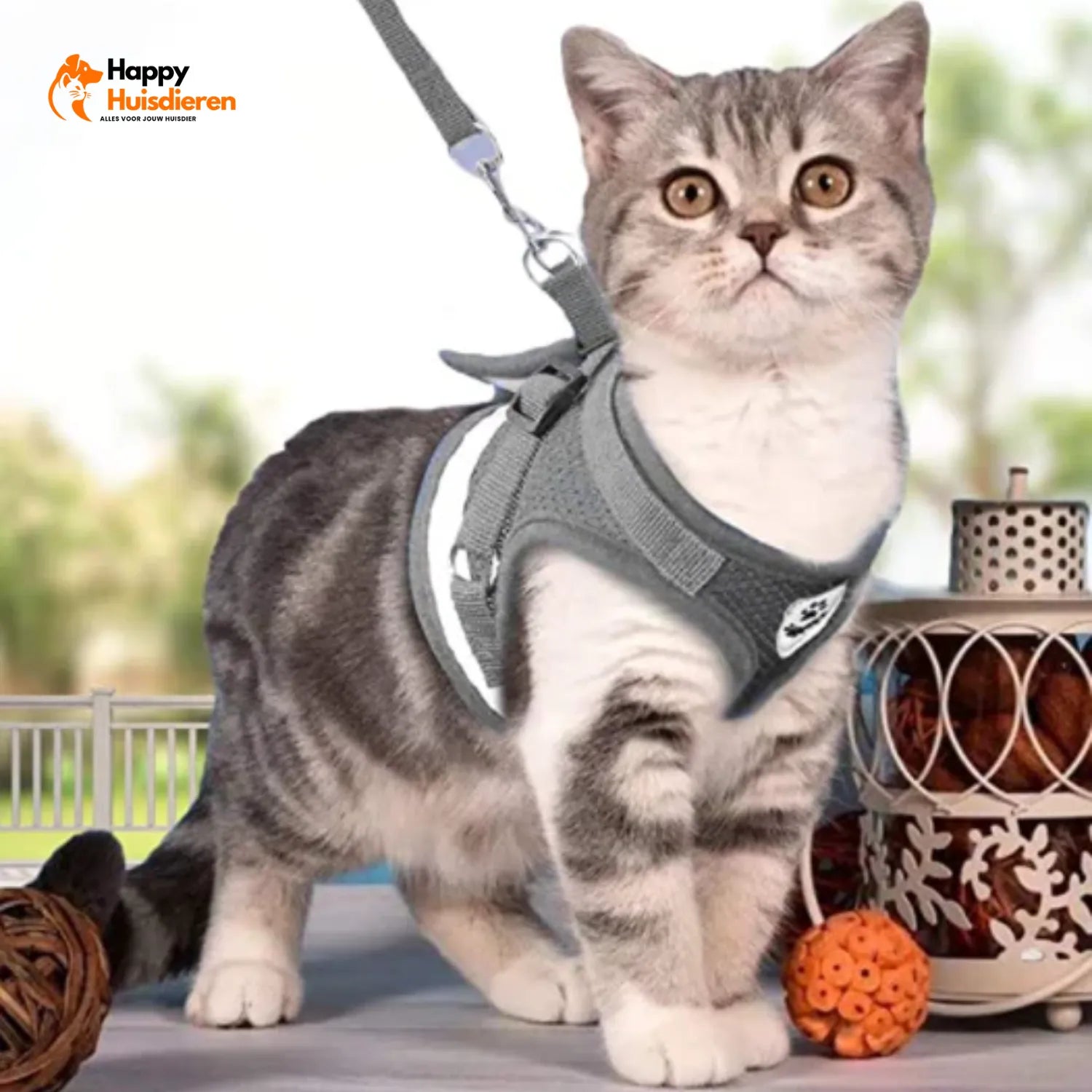 AvontuurKit Kattentuig | Verstelbaar Tuigje met Lijn voor Avonturen