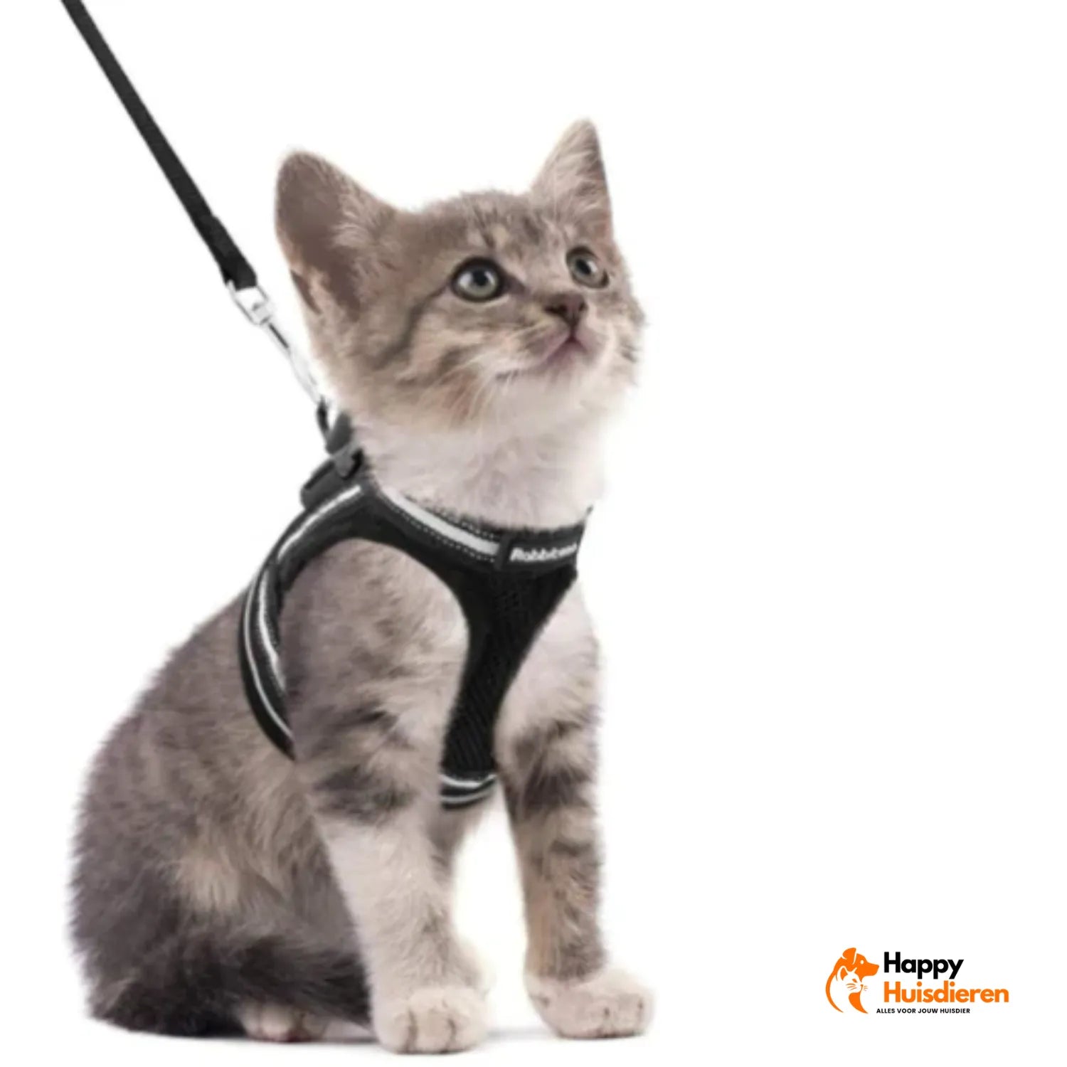 AvontuurKit Kattentuig | Verstelbaar Tuigje met Lijn voor Avonturen