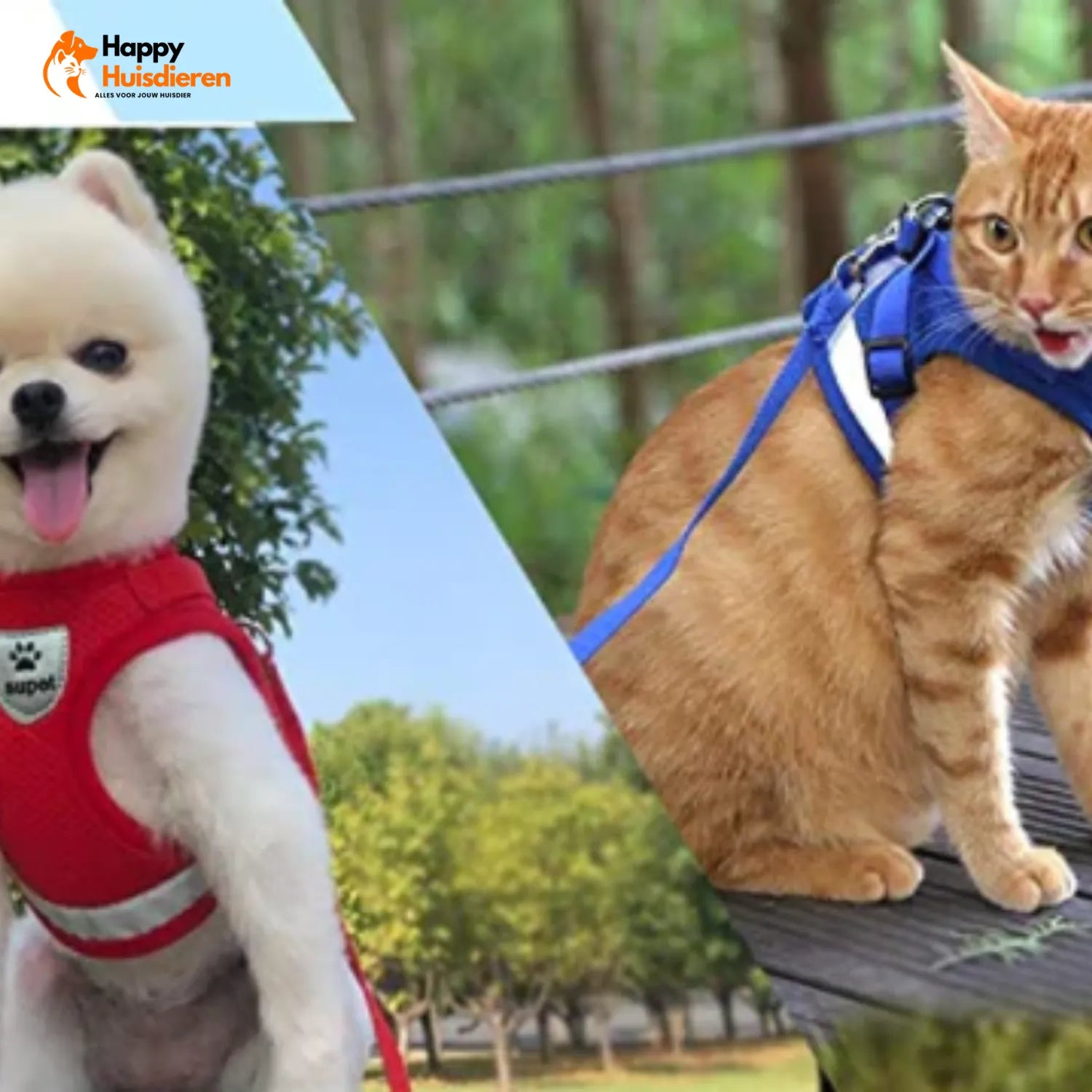 AvontuurKit Kattentuig | Verstelbaar Tuigje met Lijn voor Avonturen