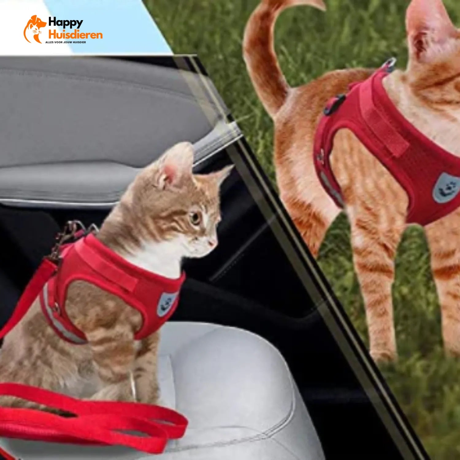 AvontuurKit Kattentuig | Verstelbaar Tuigje met Lijn voor Avonturen