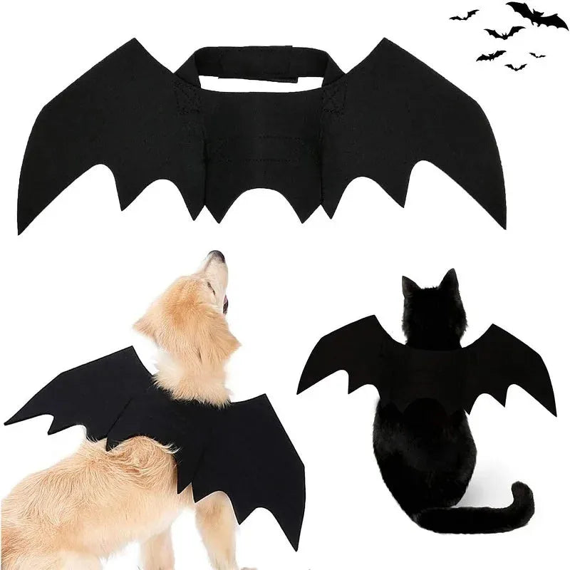 BatPaws Kostuum | Grappig Vleermuiskostuum voor Honden en Katten met Halloween
