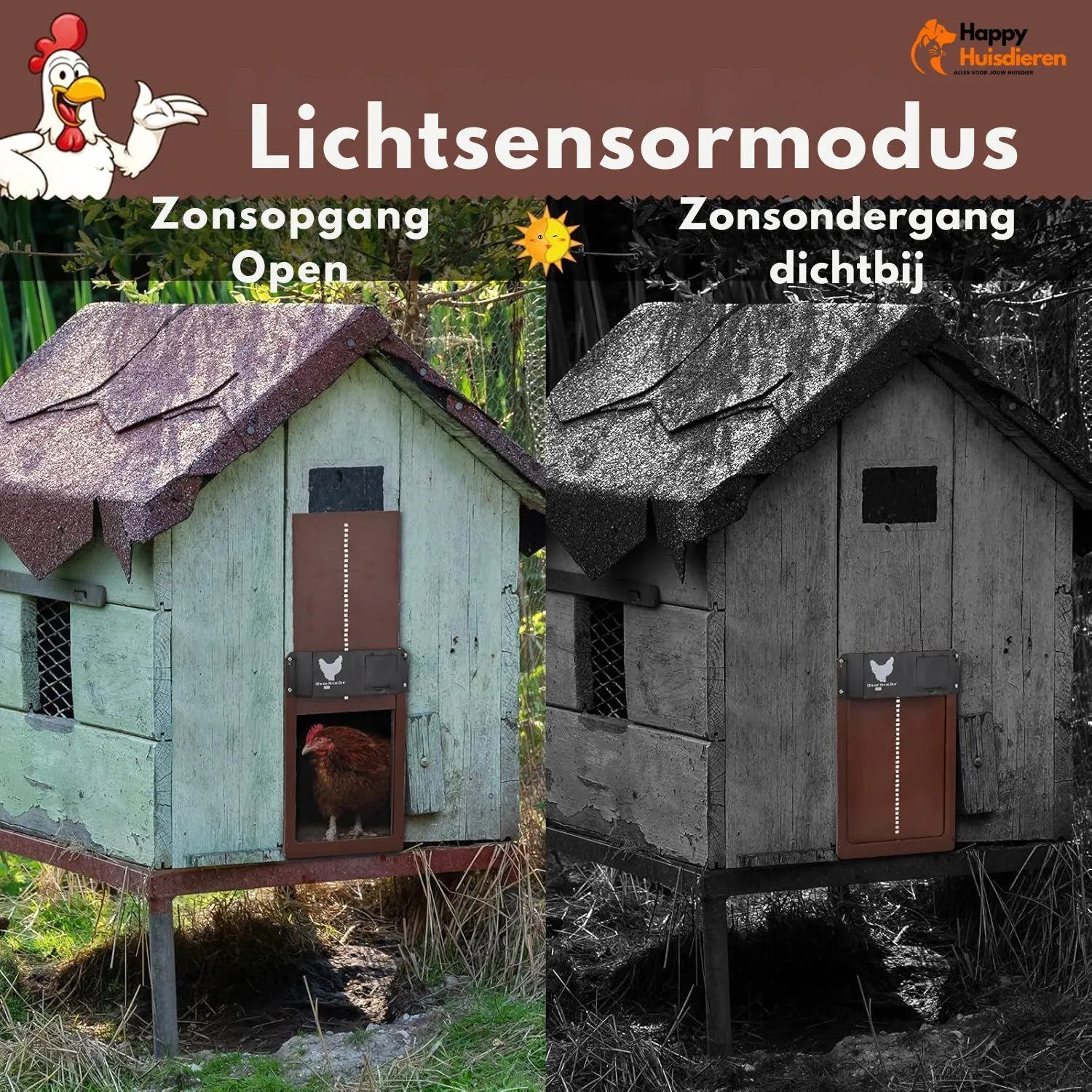 Bertha | Slimme deur met lichtsensor voor kippenhokken – veilig & weerbestendig