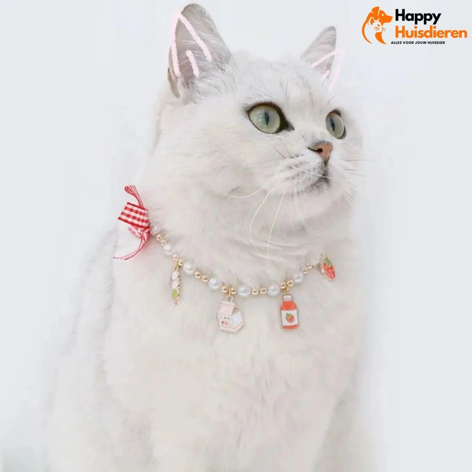 BindBuddies Band| Stijlvolle Halsband Voor Huisdieren