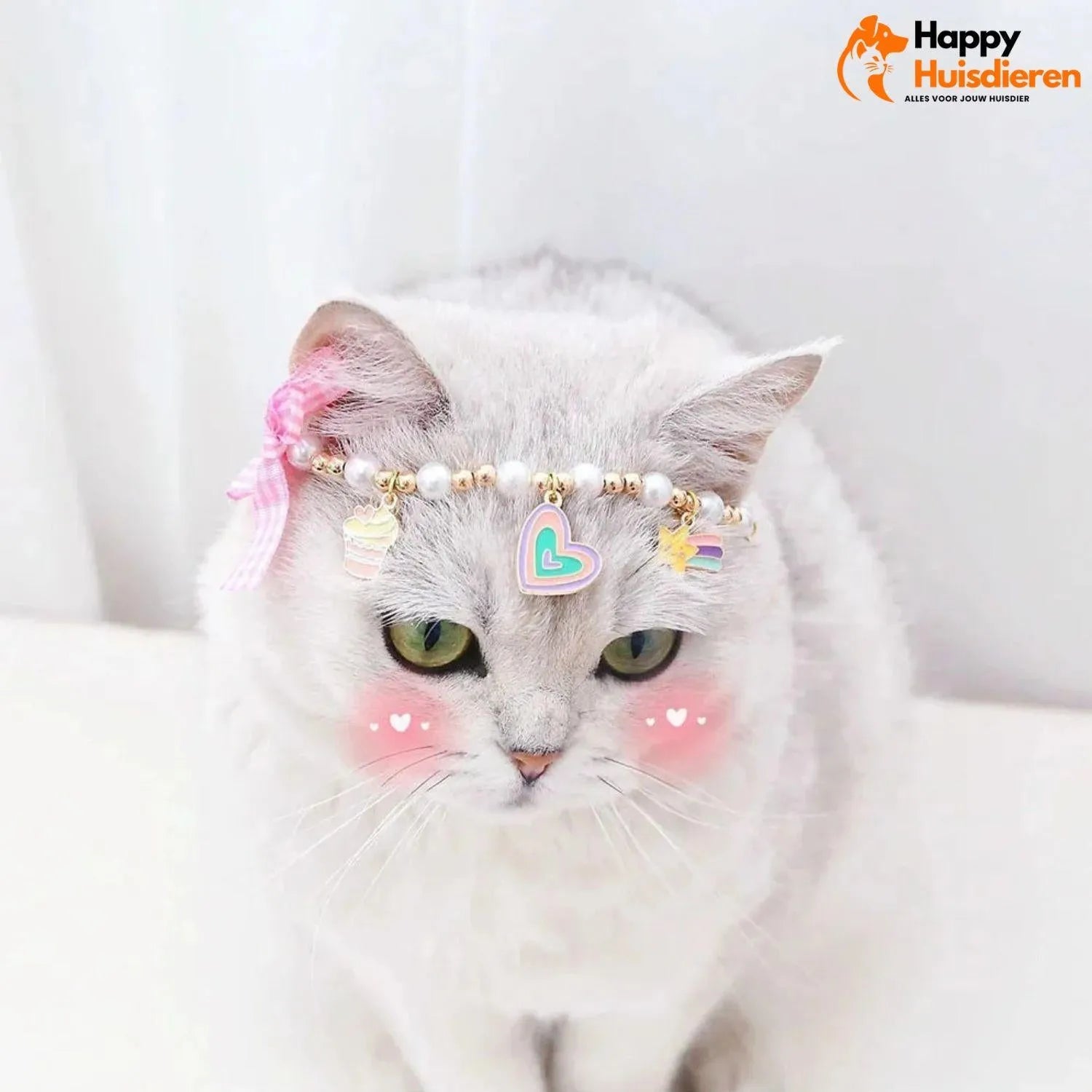 BindBuddies Band| Stijlvolle Halsband Voor Huisdieren