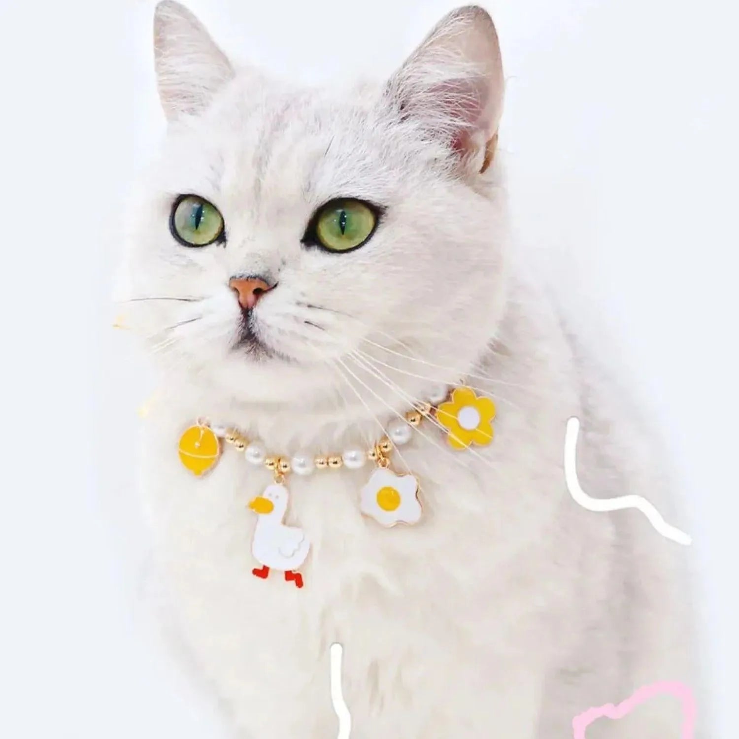 BindBuddies Band| Stijlvolle Halsband Voor Huisdieren