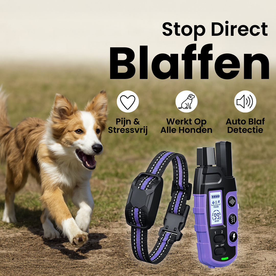 FidoTrainer Pro | Oplaadbare Waterdichte Honden Trainingshalsband met Afstandsbediening