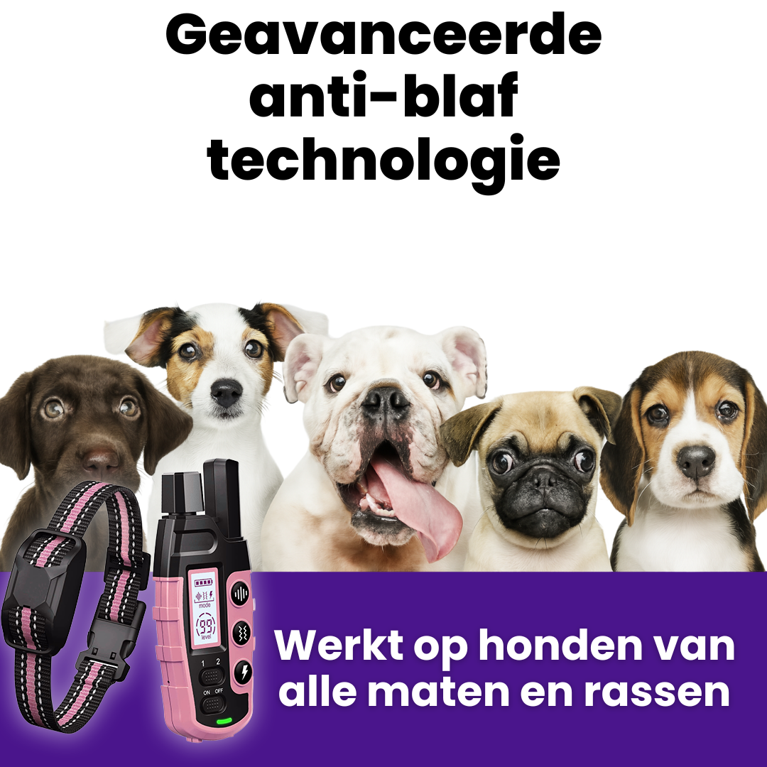 FidoTrainer Pro | Oplaadbare Waterdichte Honden Trainingshalsband met Afstandsbediening