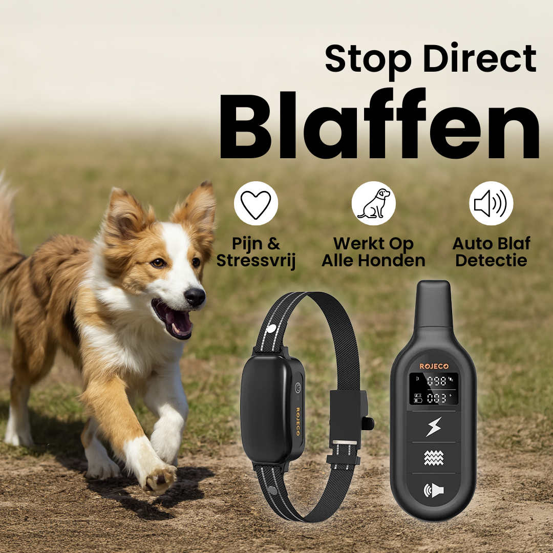 OpvoedingTrainer Halsband | Elektrische Trainingshalsband met Waterdichte Afstandsbediening