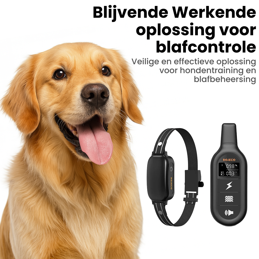OpvoedingTrainer Halsband | Elektrische Trainingshalsband met Waterdichte Afstandsbediening