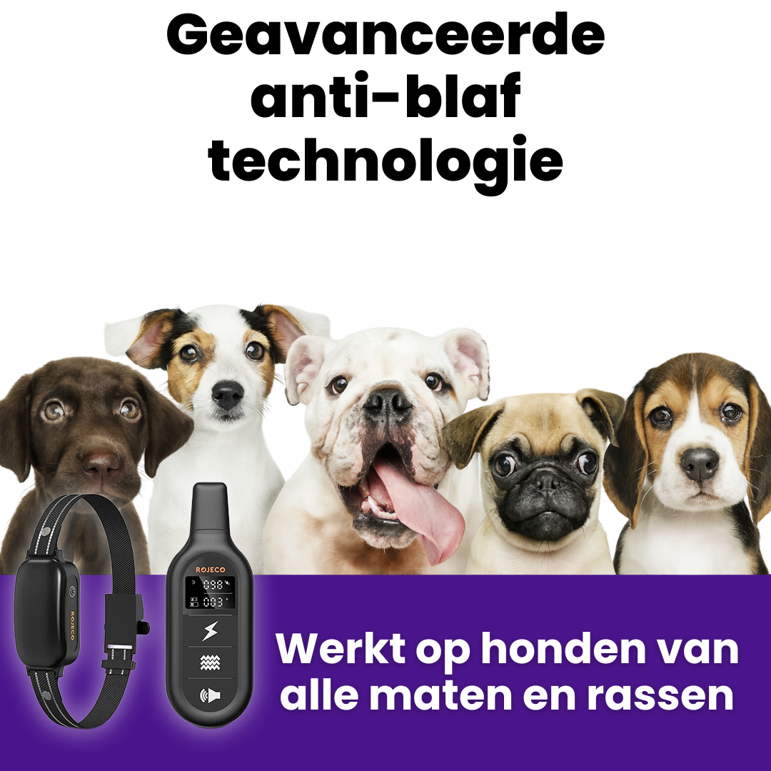 OpvoedingTrainer Halsband | Elektrische Trainingshalsband met Waterdichte Afstandsbediening