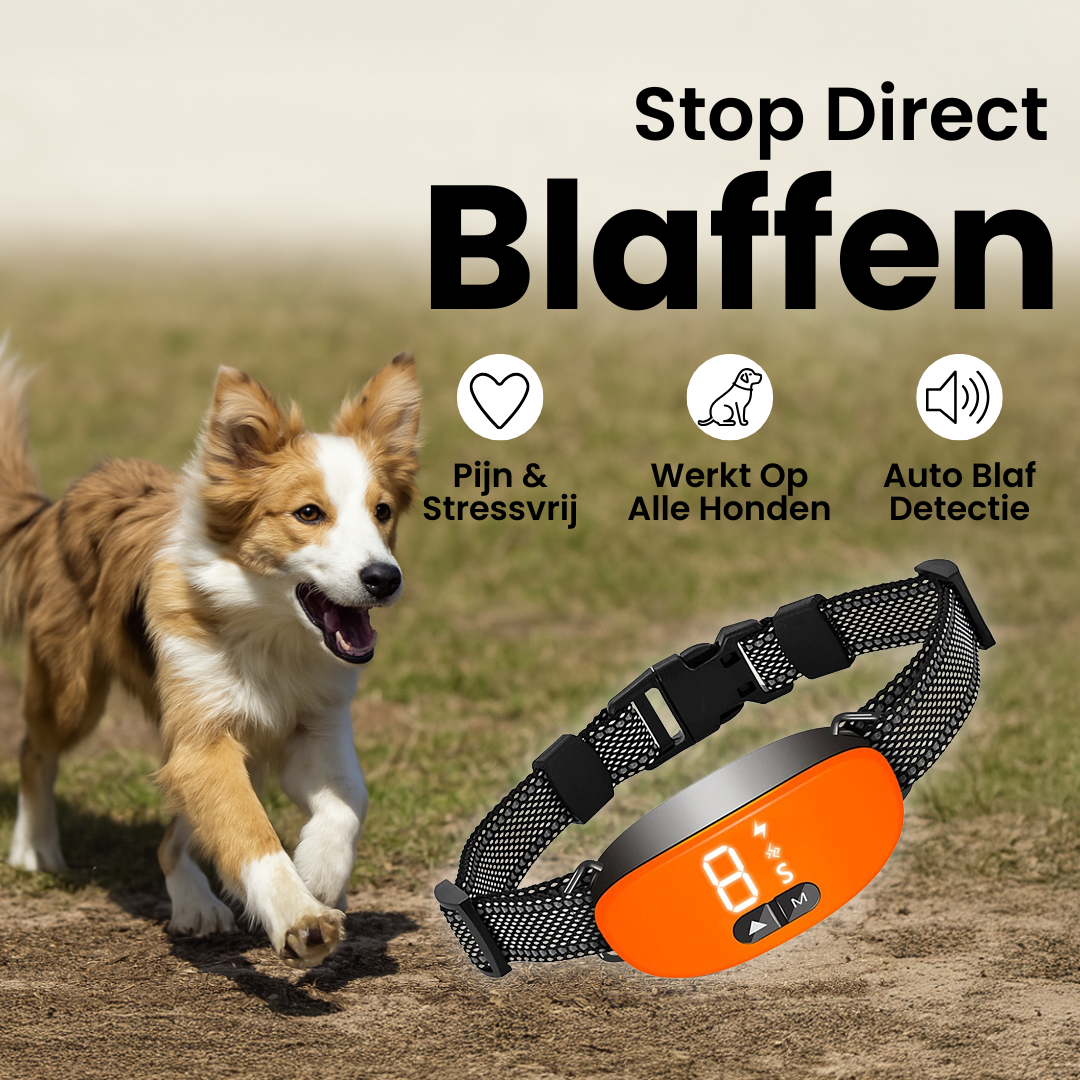 BlaffBeheer Band | Slimme Oplaadbare Hondenhalsband met Verstelbare Gevoeligheid