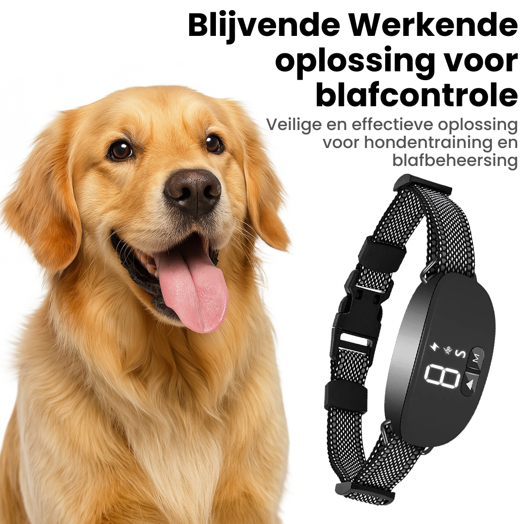 BlaffBeheer Band | Slimme Oplaadbare Hondenhalsband met Verstelbare Gevoeligheid