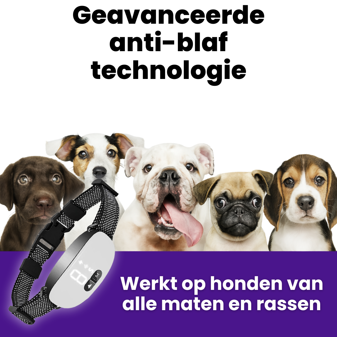 BlaffBeheer Band | Slimme Oplaadbare Hondenhalsband met Verstelbare Gevoeligheid
