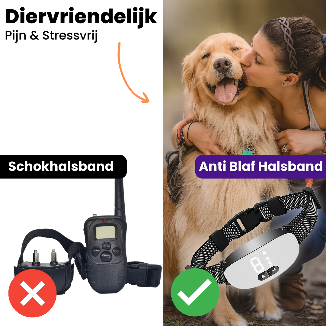 BlaffBeheer Band | Slimme Oplaadbare Hondenhalsband met Verstelbare Gevoeligheid