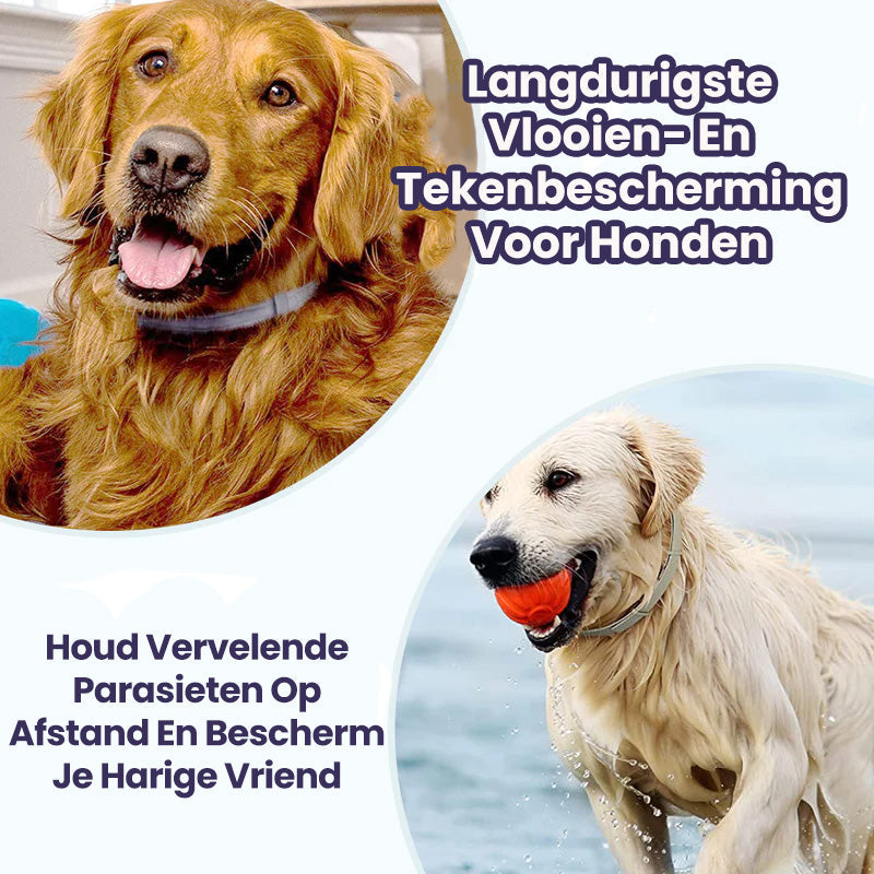 BugBlock Collar | Anti-teken & vlooien halsband 8 maanden bescherming