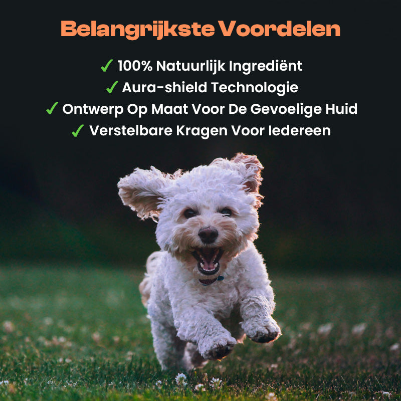 BugBlock Collar | Anti-teken & vlooien halsband 8 maanden bescherming