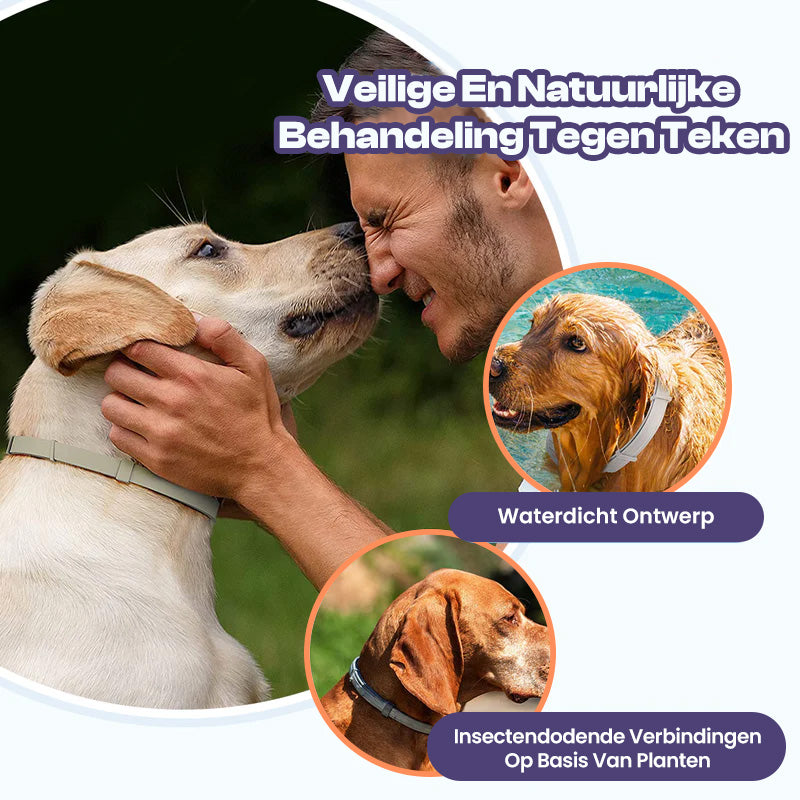 BugBlock Collar | Anti-teken & vlooien halsband 8 maanden bescherming