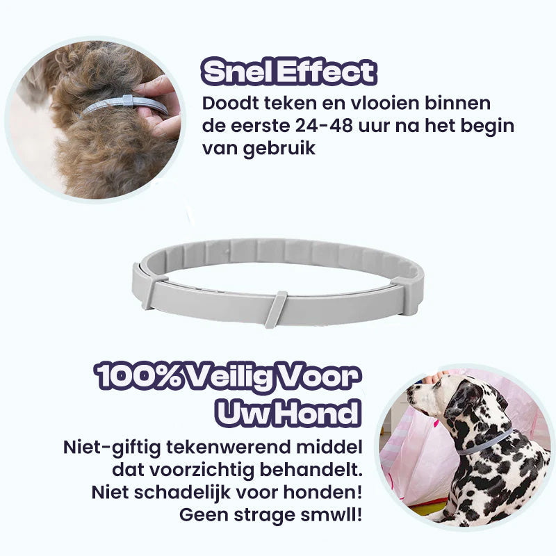 BugBlock Collar | Anti-teken & vlooien halsband 8 maanden bescherming