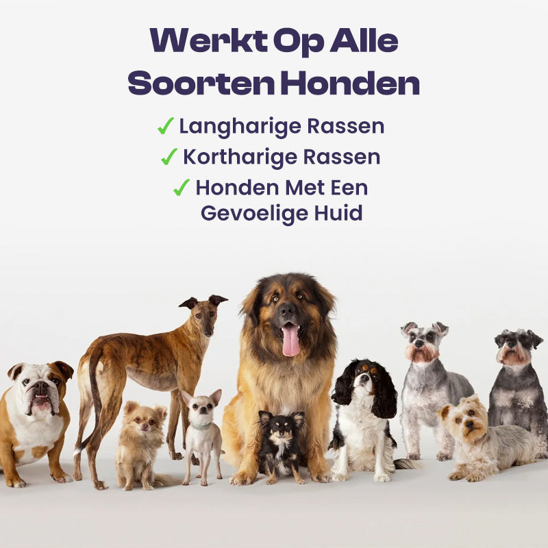 BugBlock Collar | Anti-teken & vlooien halsband 8 maanden bescherming