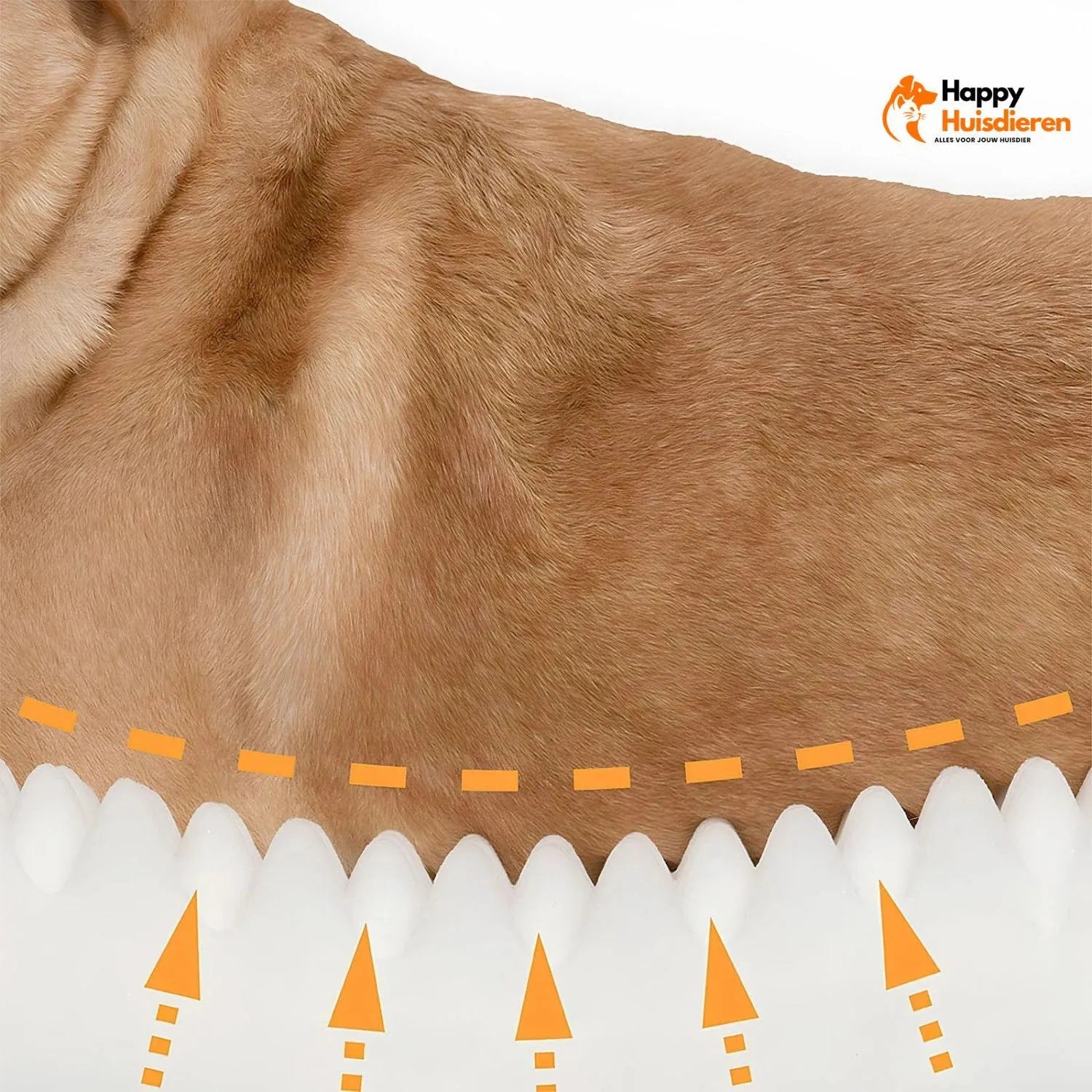 CanineHaven Lounge | Comfortabele Sofa met Optimale Ondersteuning