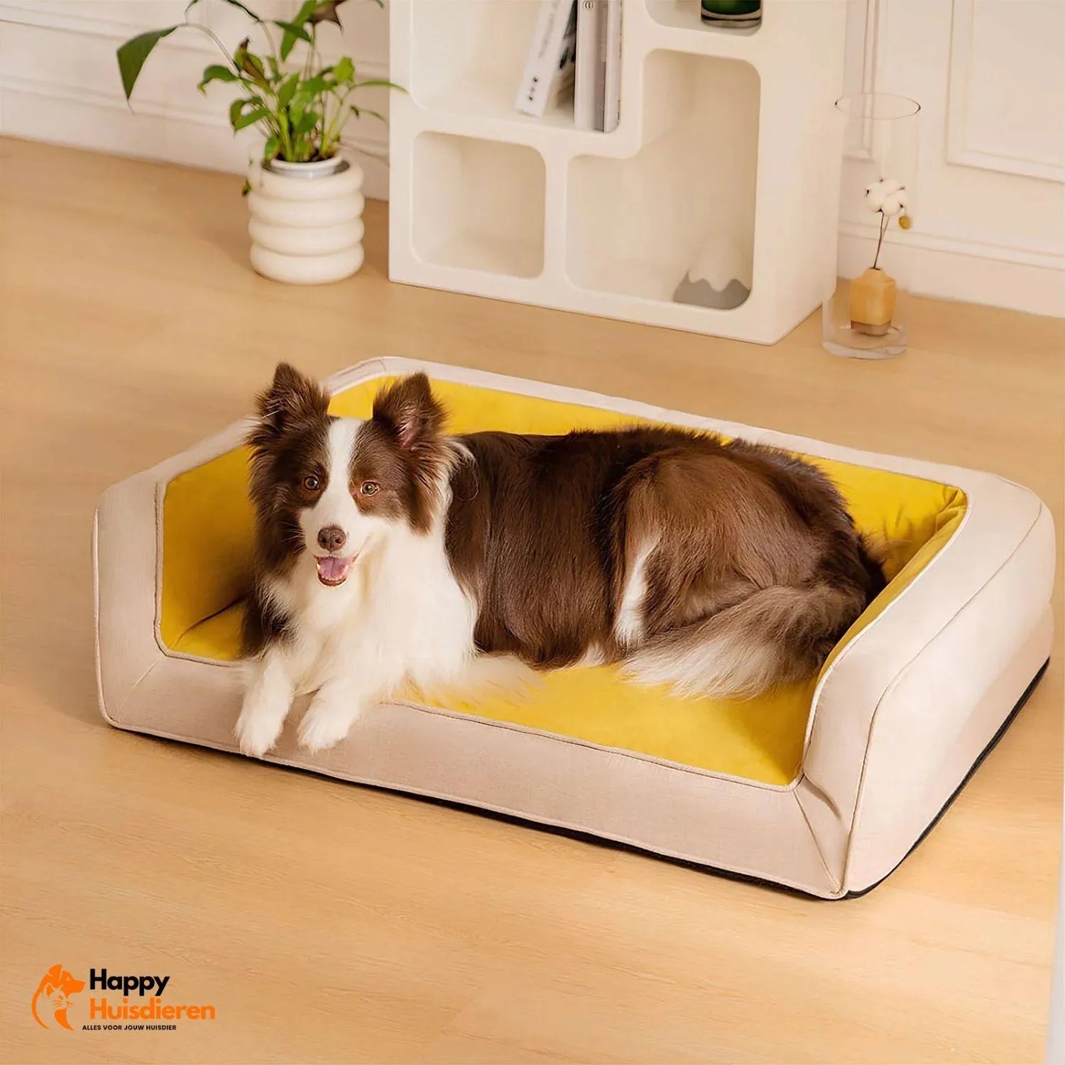 CanineHaven Lounge | Comfortabele Sofa met Optimale Ondersteuning