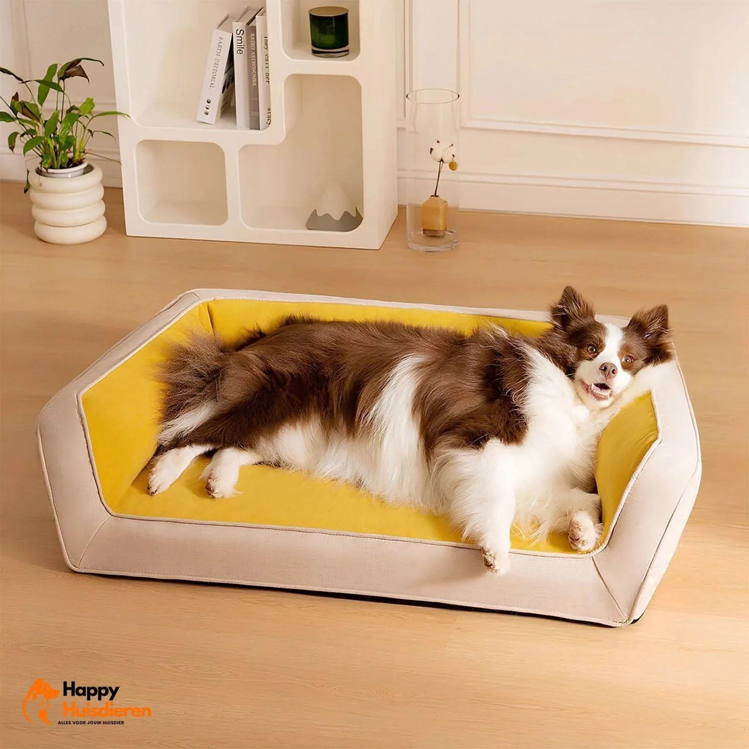 CanineHaven Lounge | Comfortabele Sofa met Optimale Ondersteuning