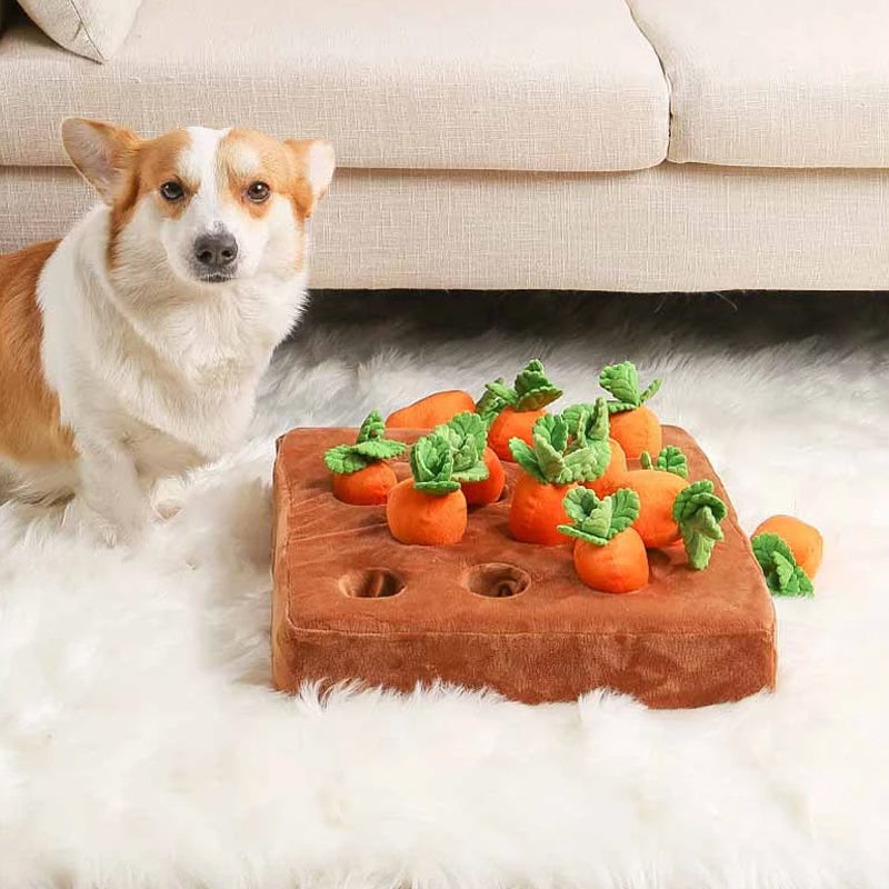CarrotQuest Garden | Snuffelmat hond interactieve wortel puzzel