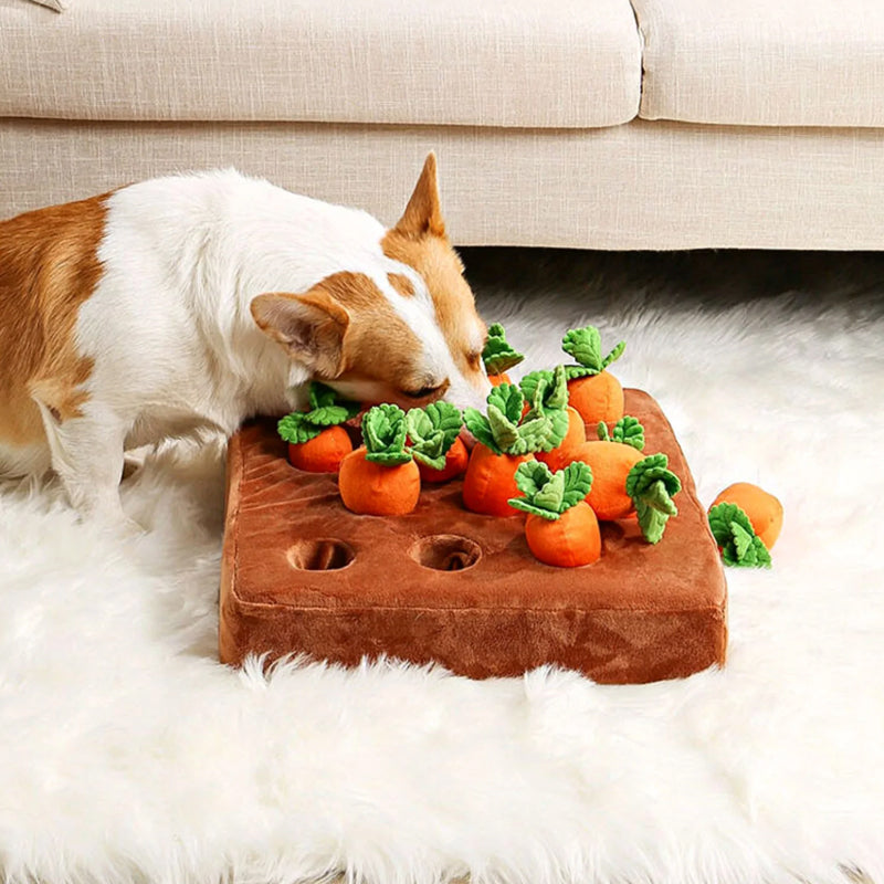 CarrotQuest Garden | Snuffelmat hond interactieve wortel puzzel