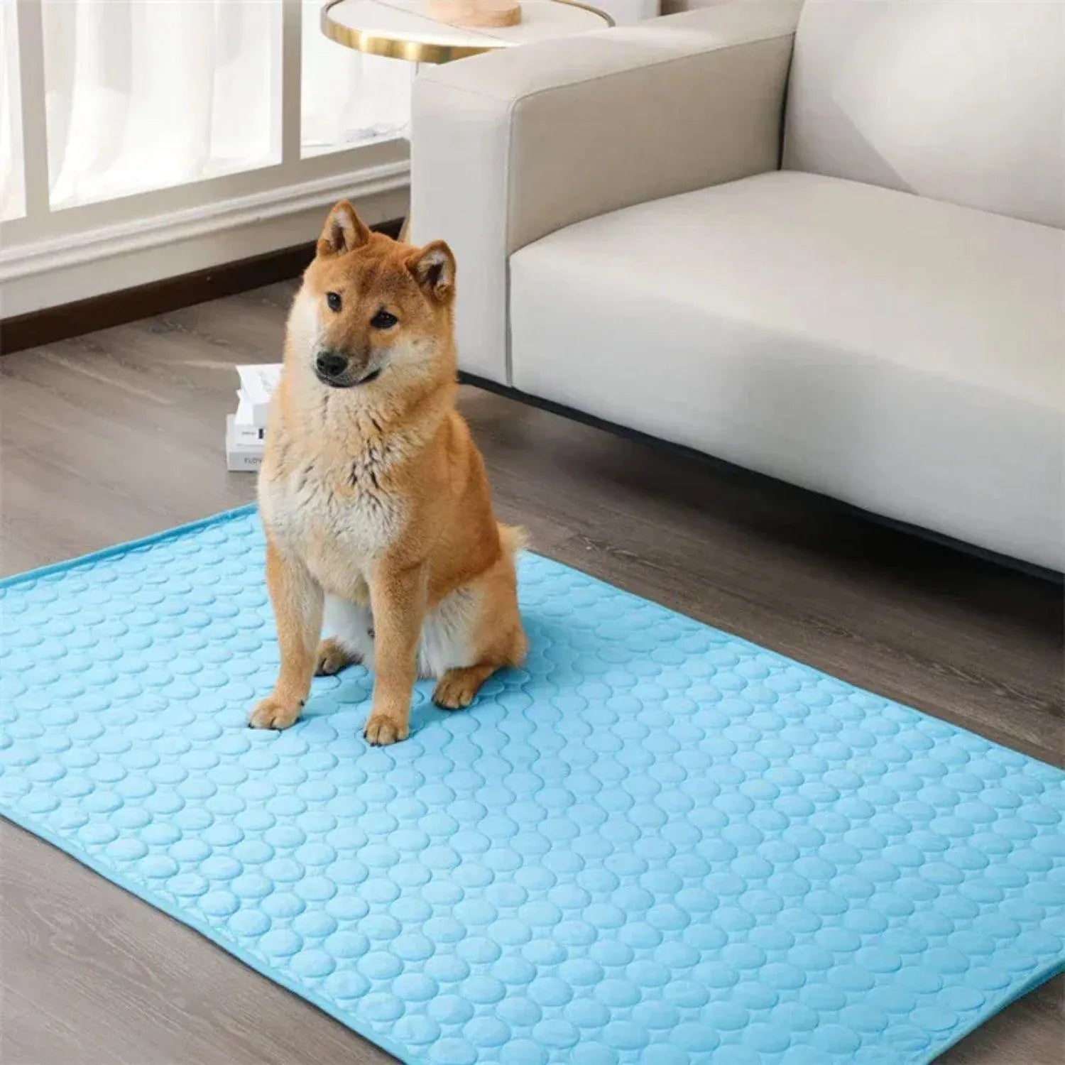 ChillEase Mat | Koelmat voor honden en katten met geltechnologie & duurzaam ontwerp