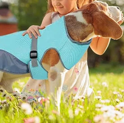 Chloe | Hondenkoelingsvest Voor Zomerplezier