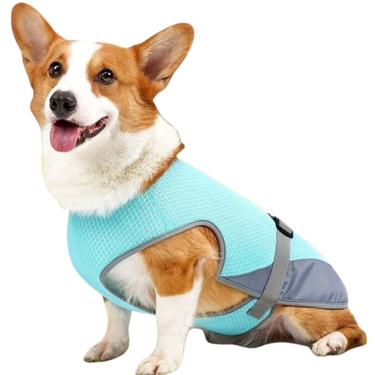 Chloe | Hondenkoelingsvest Voor Zomerplezier