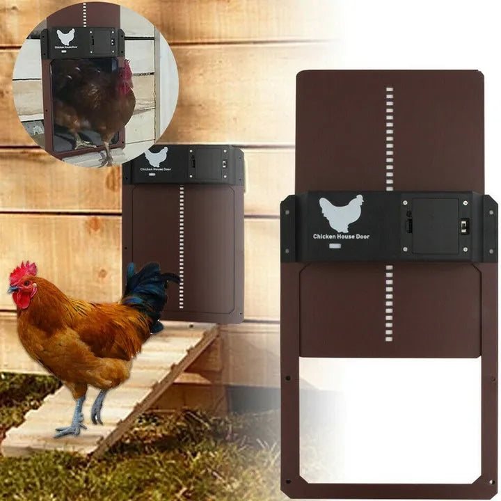 CluckSafe Pro | Automatisch Kippenluik met Timer en Lichtsensor