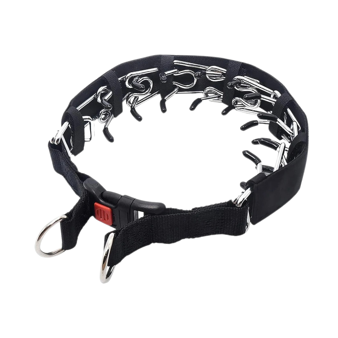 Cody | Halsband voor gehoorzaamheidstraining