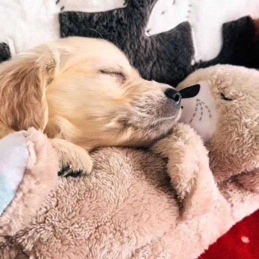 CozyBreath | Troostgevend hondenspeeltje met levensechte ademhaling